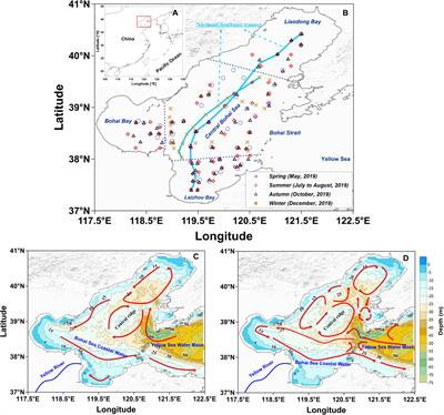 Nutrient dynamics and coupling with biological processes and physical conditions in the Bohai Sea